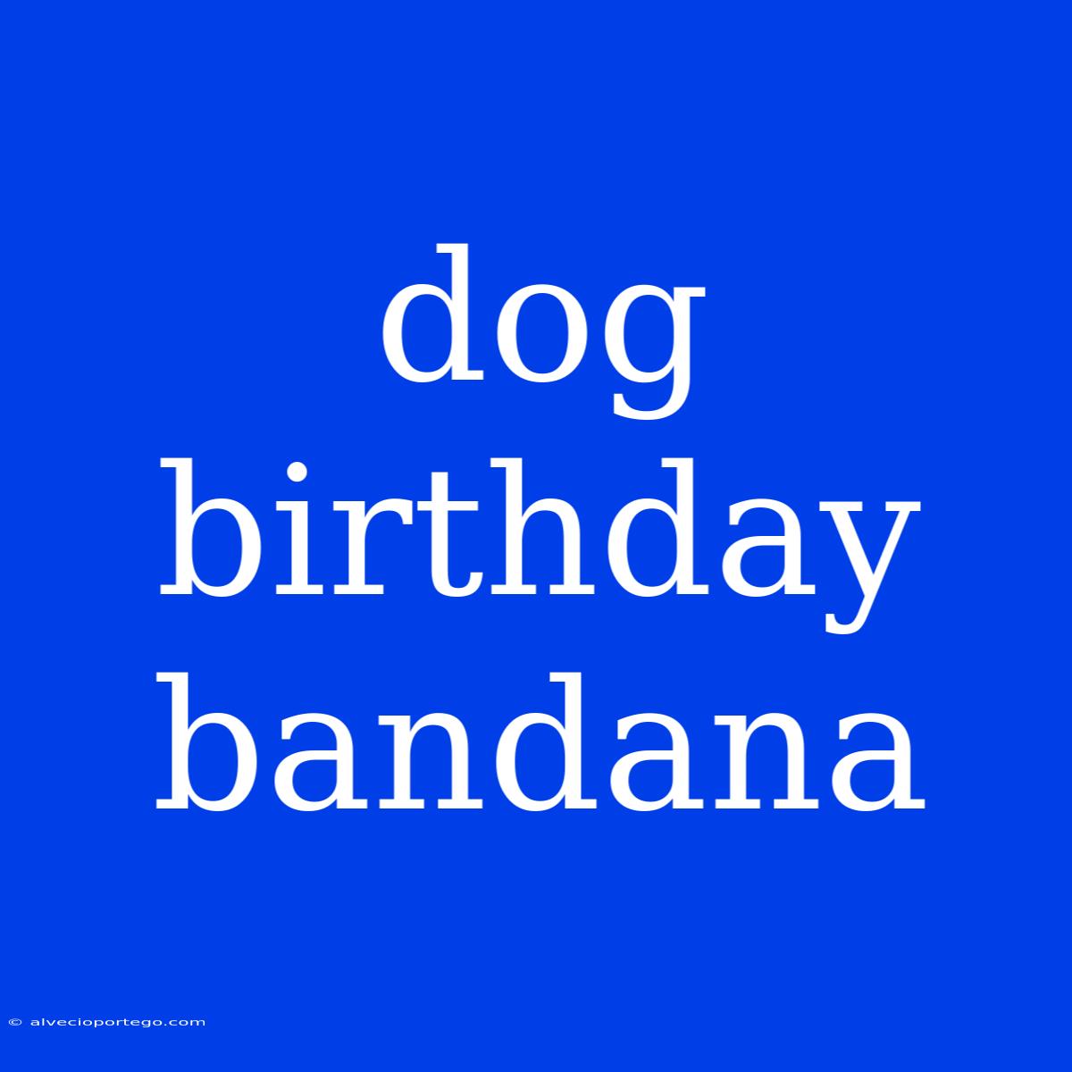 Dog Birthday Bandana