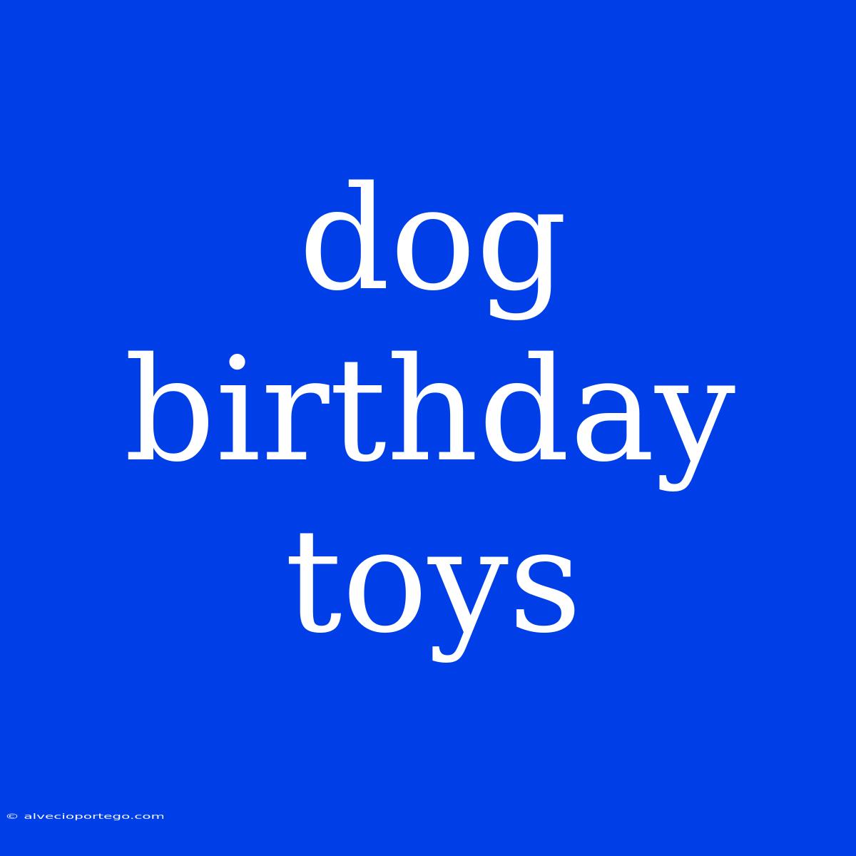 Dog Birthday Toys