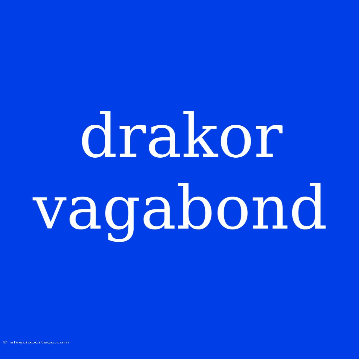 Drakor Vagabond