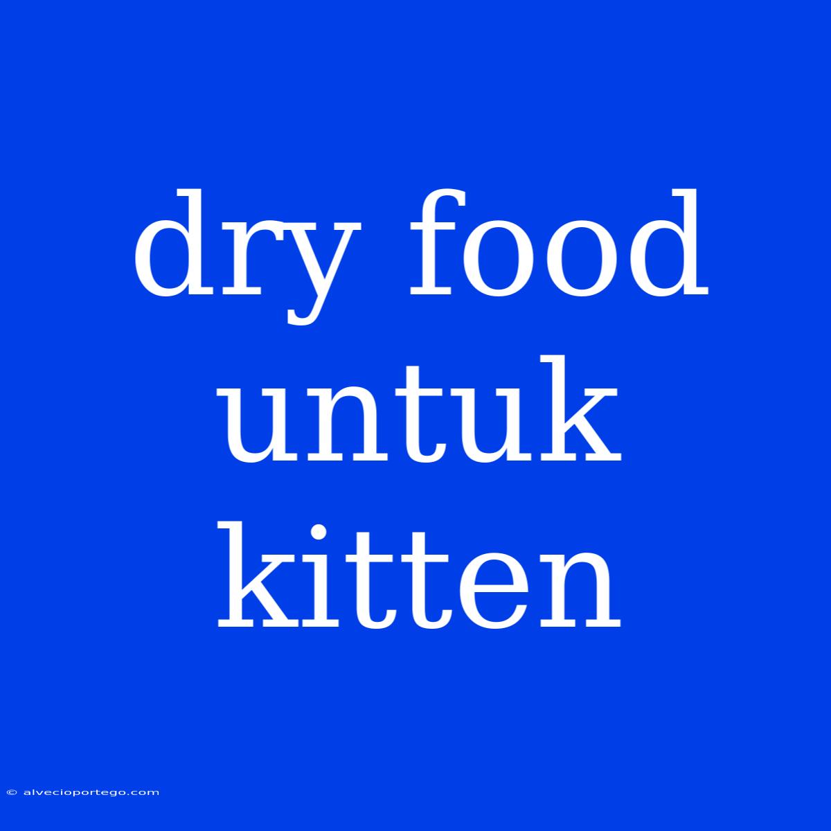 Dry Food Untuk Kitten