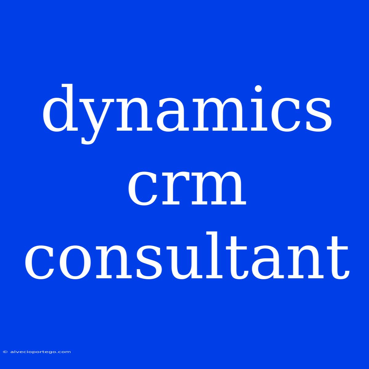 Dynamics Crm Consultant