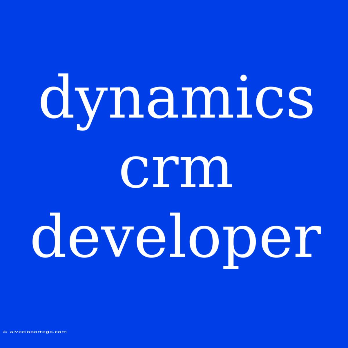 Dynamics Crm Developer