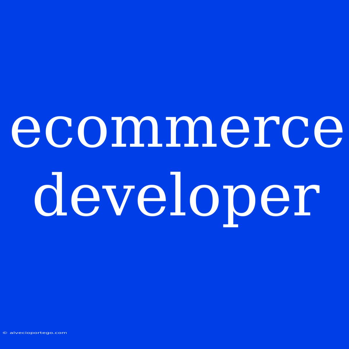 Ecommerce Developer