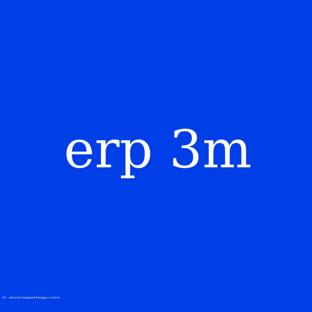 Erp 3m