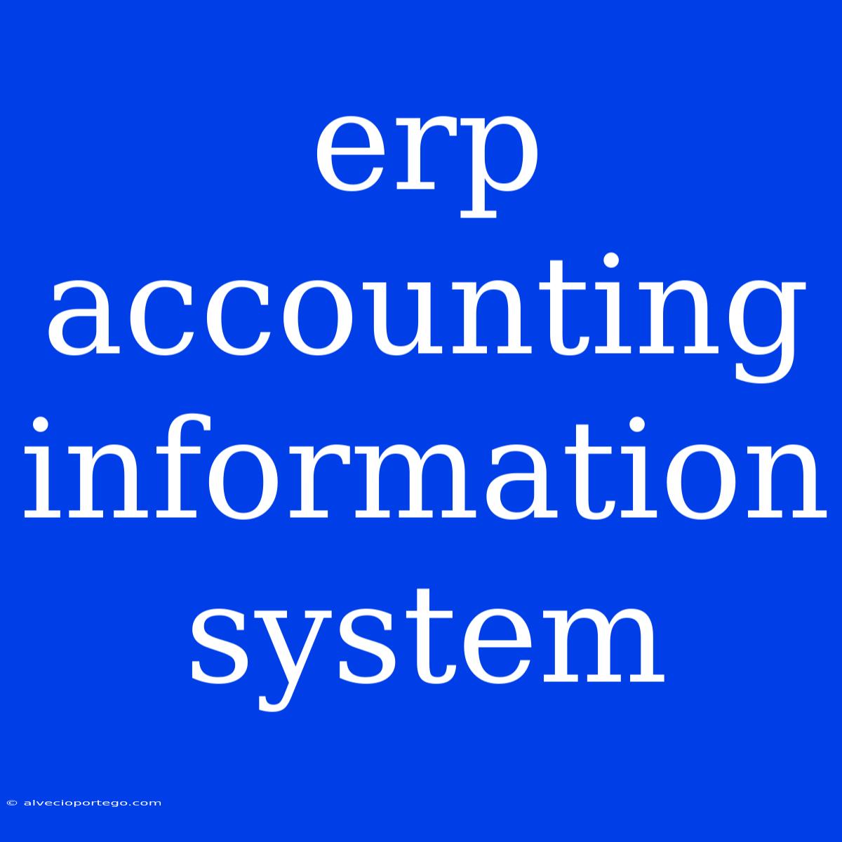 Erp Accounting Information System