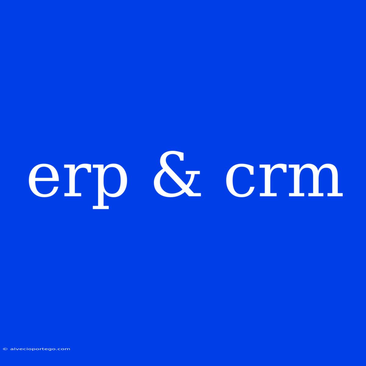 Erp & Crm