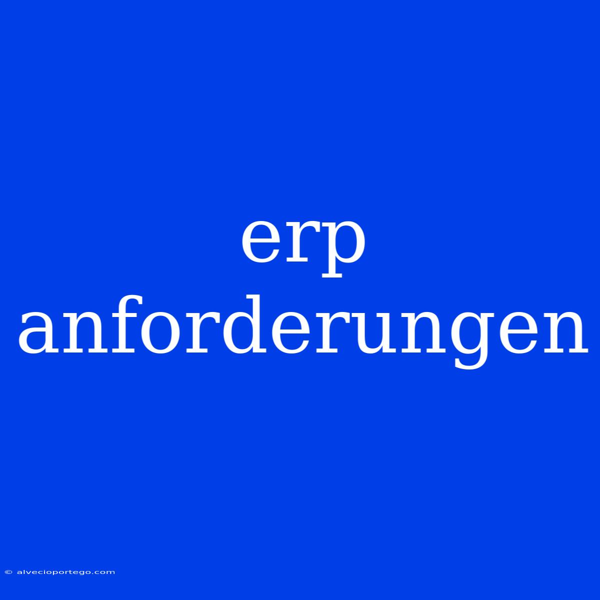 Erp Anforderungen