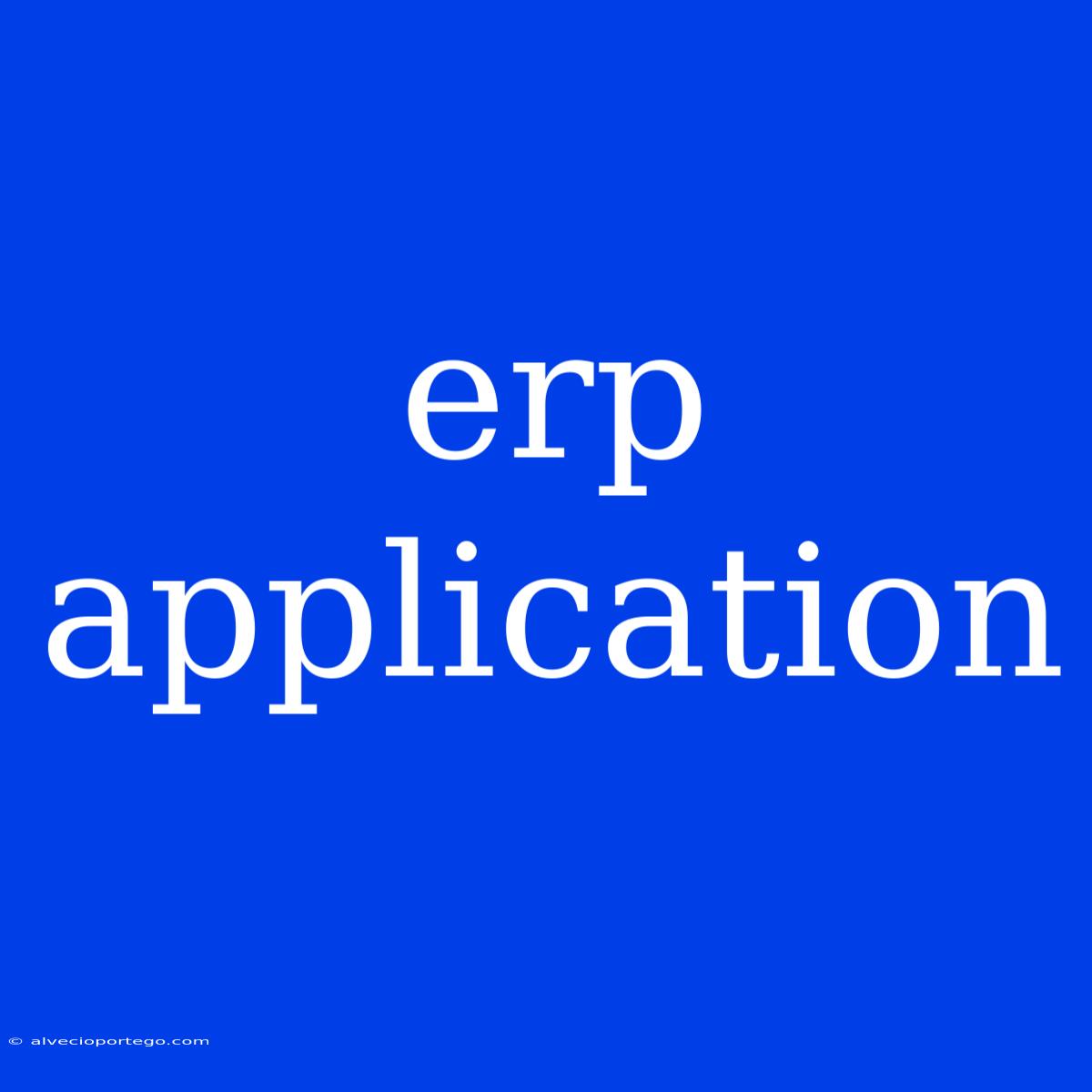 Erp Application