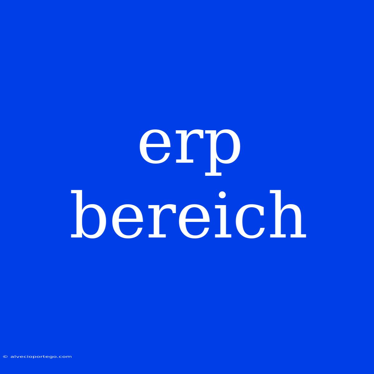 Erp Bereich