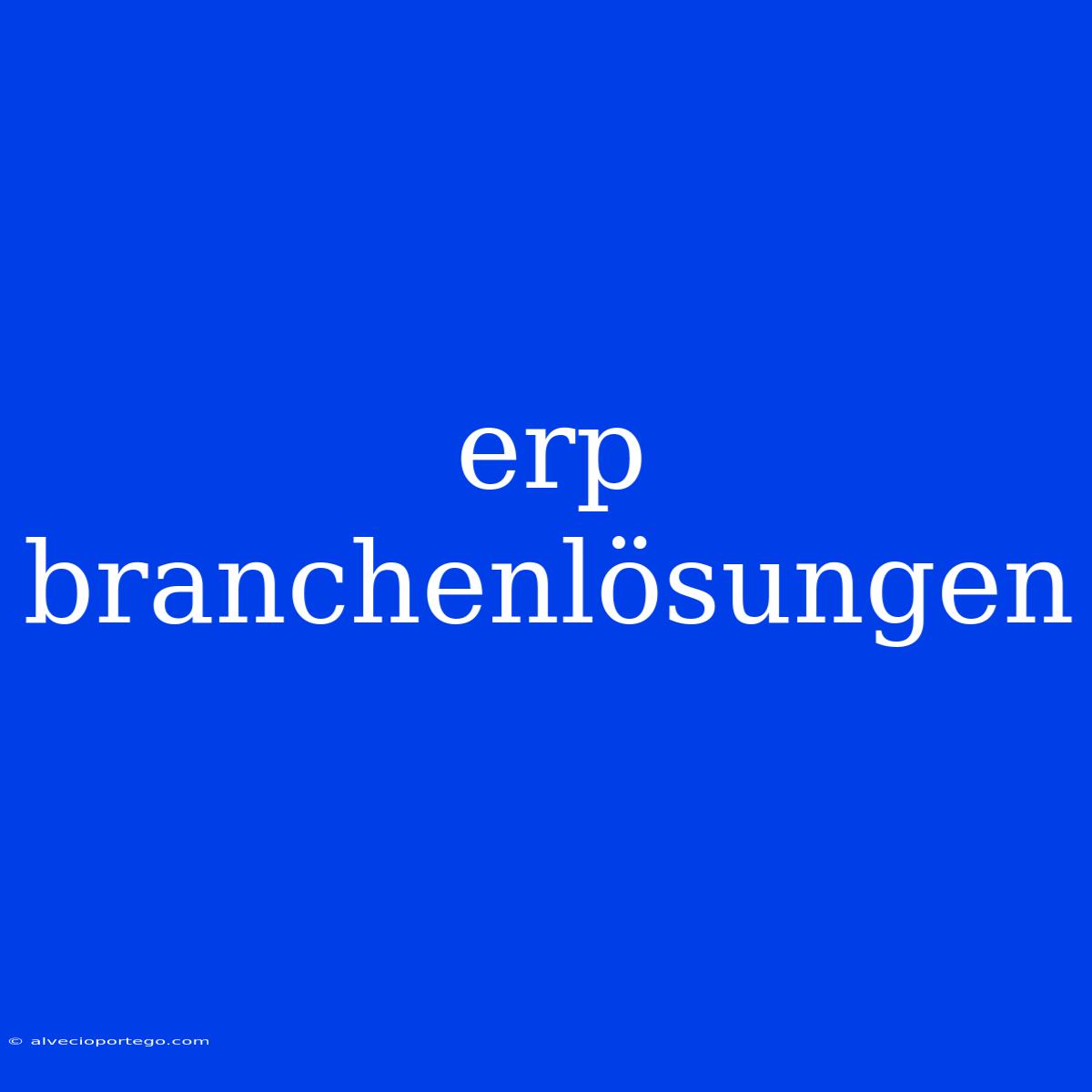 Erp Branchenlösungen