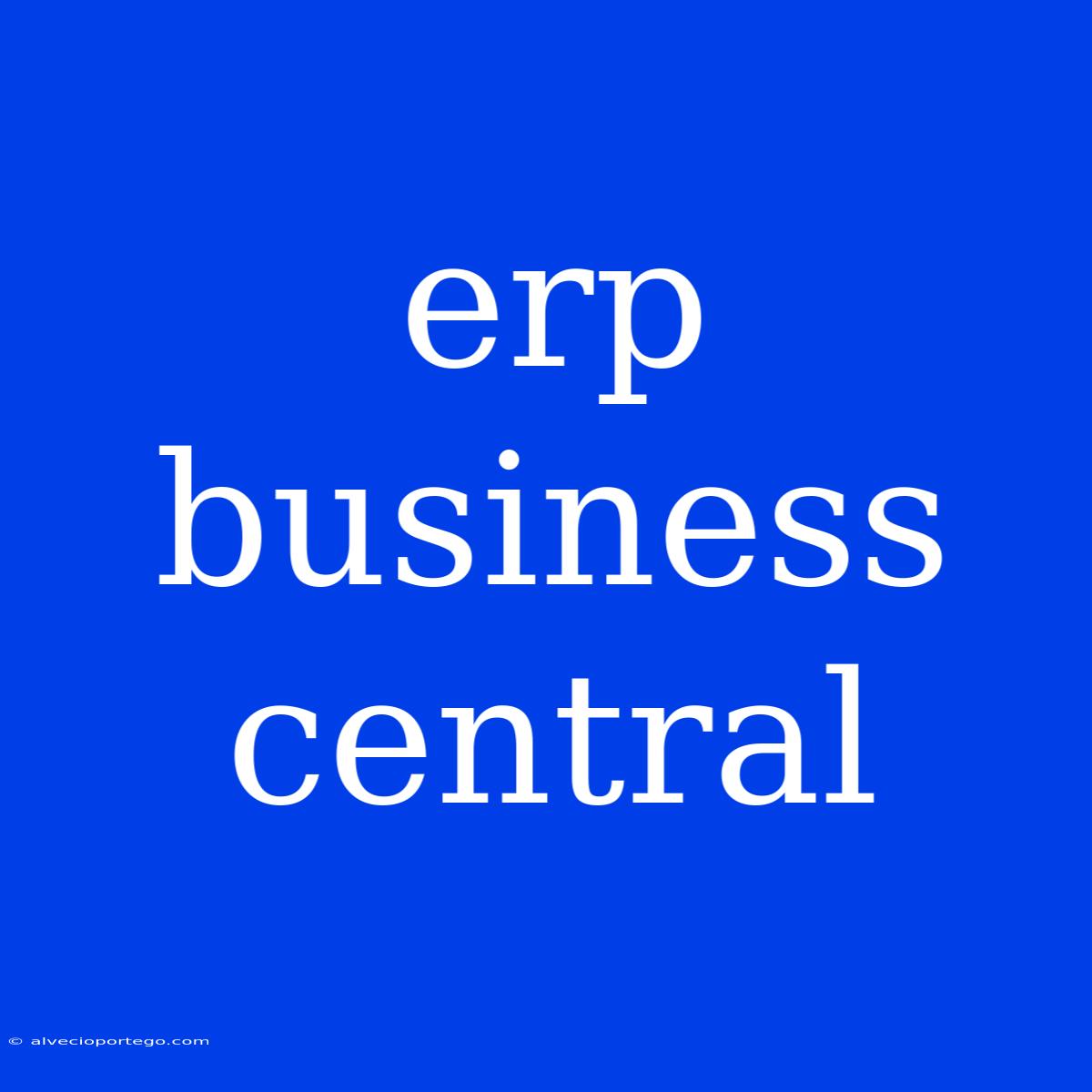 Erp Business Central