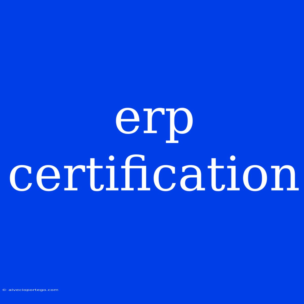 Erp Certification