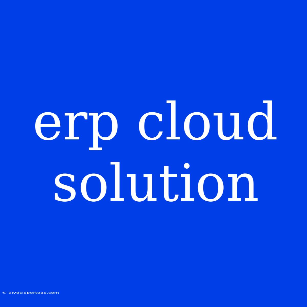 Erp Cloud Solution