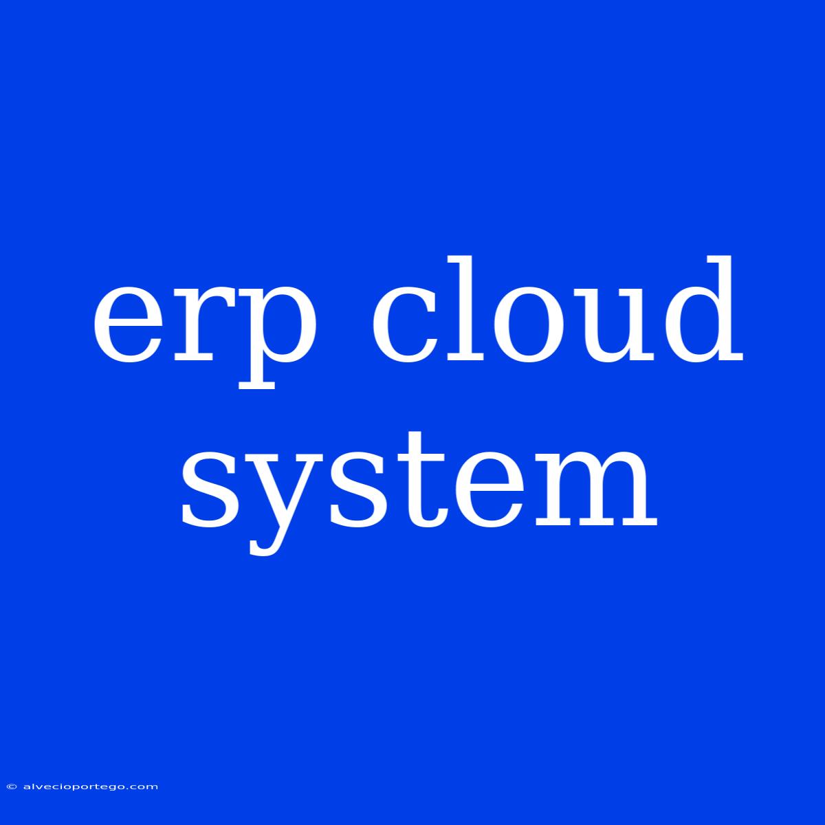 Erp Cloud System