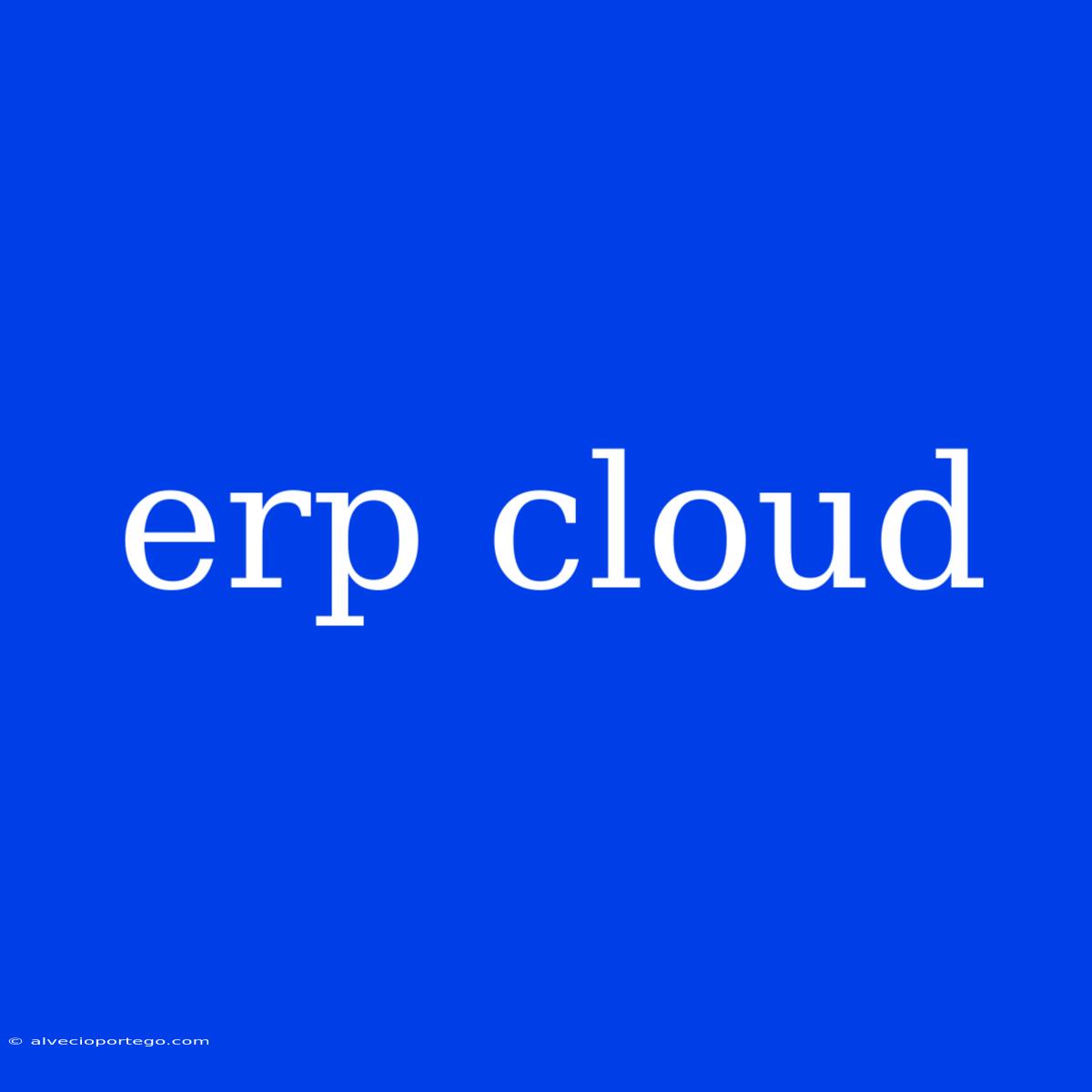 Erp Cloud