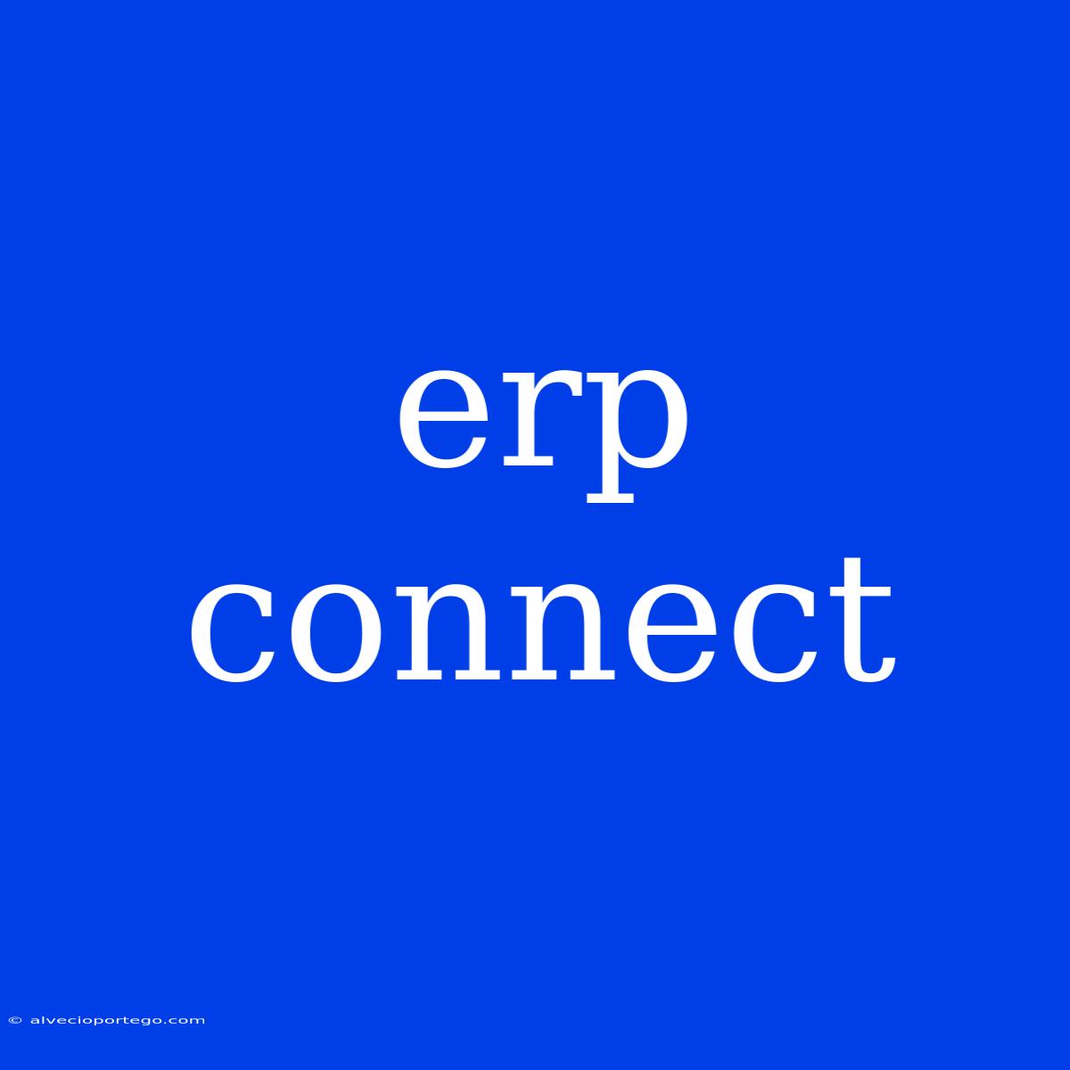 Erp Connect