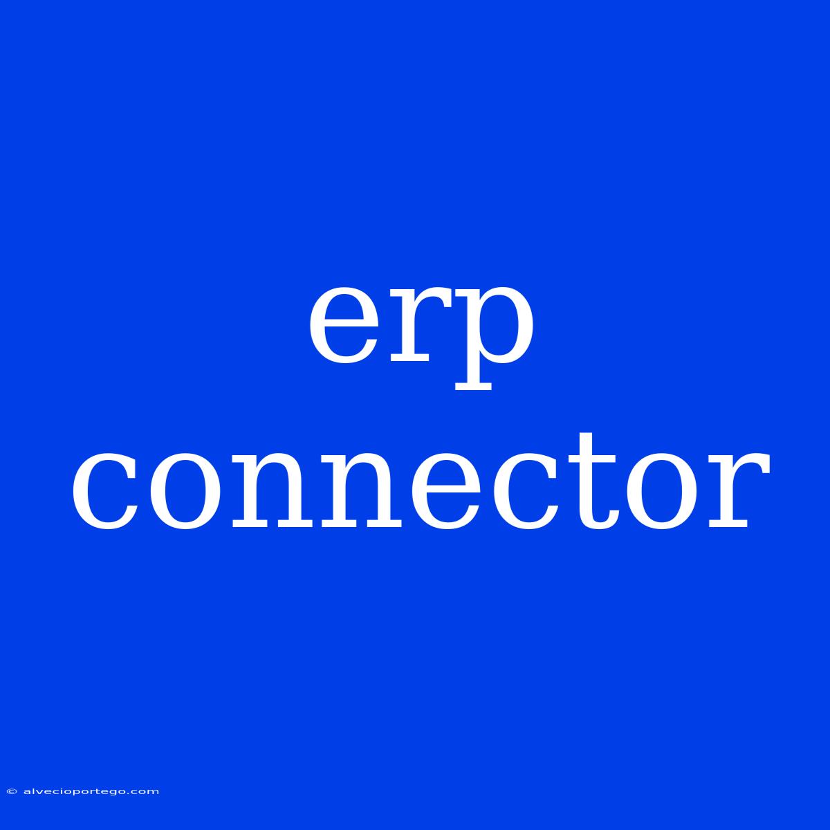 Erp Connector