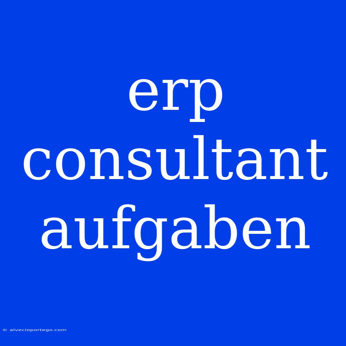 Erp Consultant Aufgaben