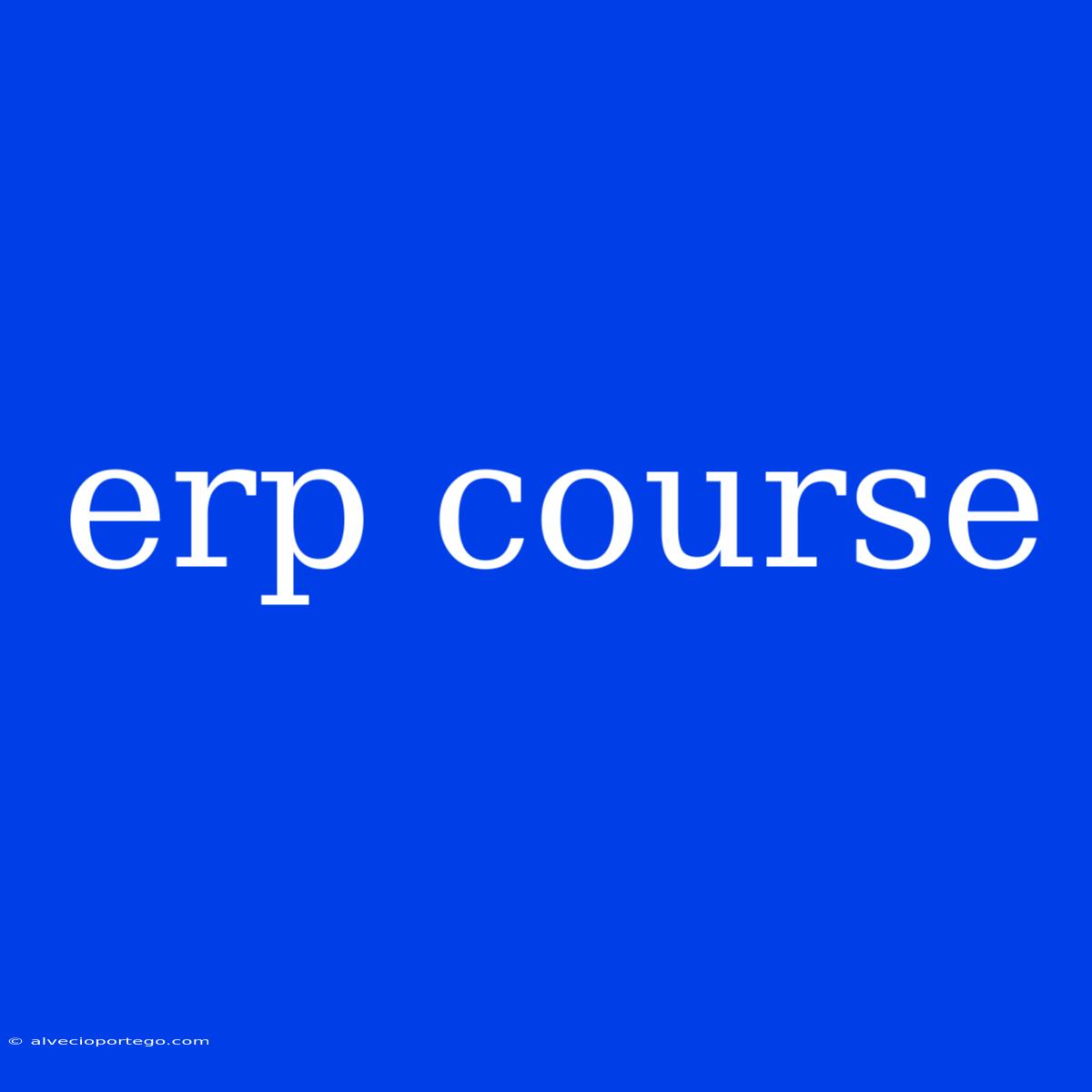 Erp Course