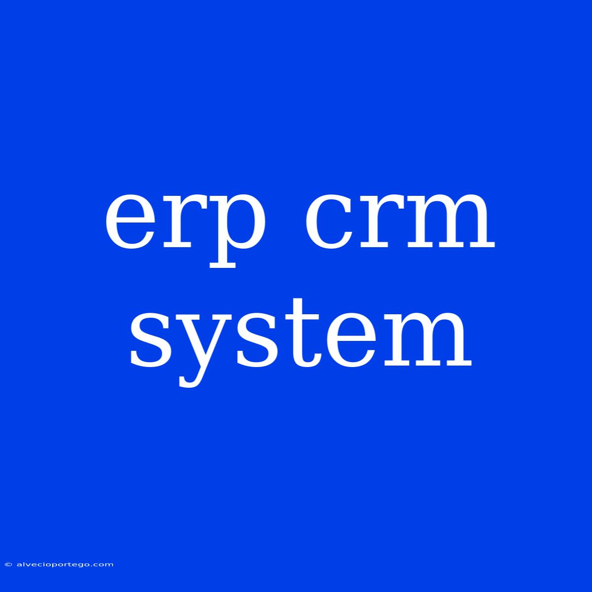 Erp Crm System