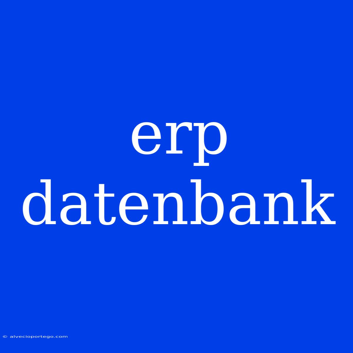 Erp Datenbank