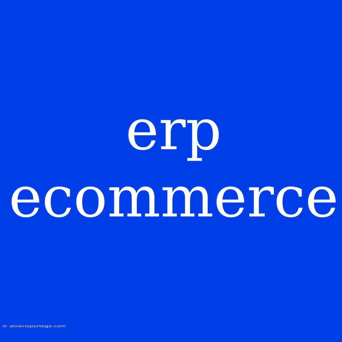 Erp Ecommerce