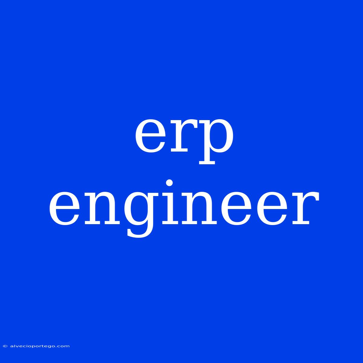 Erp Engineer