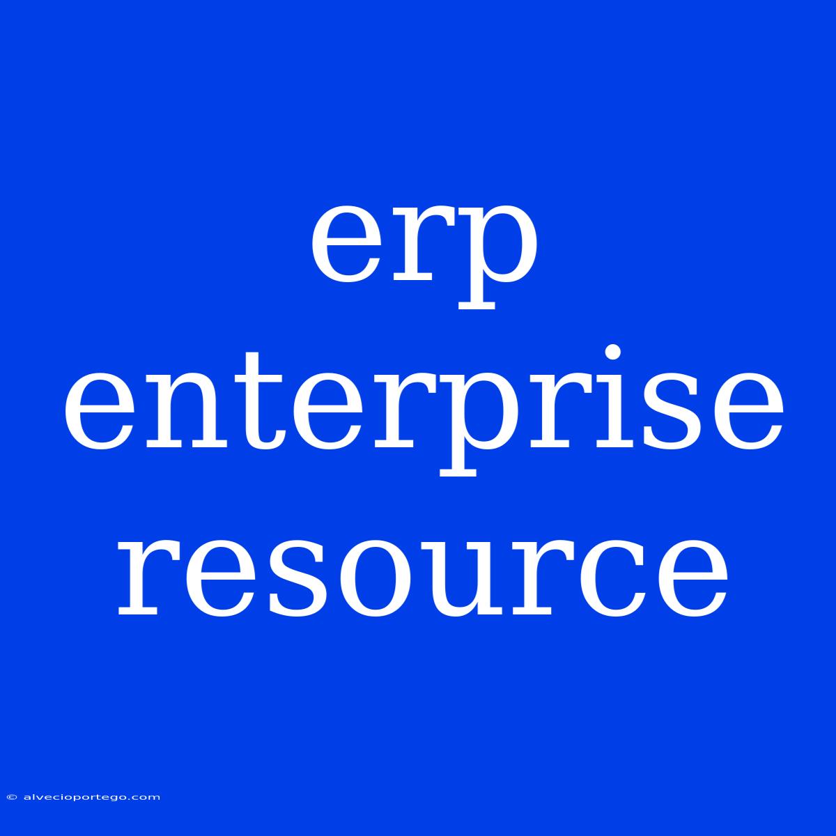 Erp Enterprise Resource