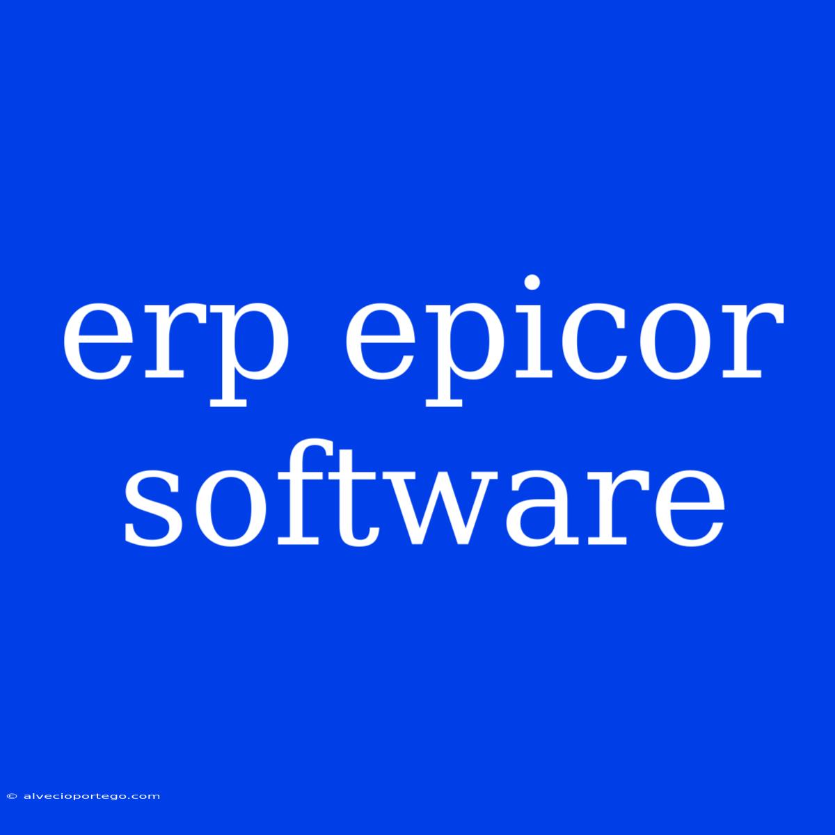 Erp Epicor Software