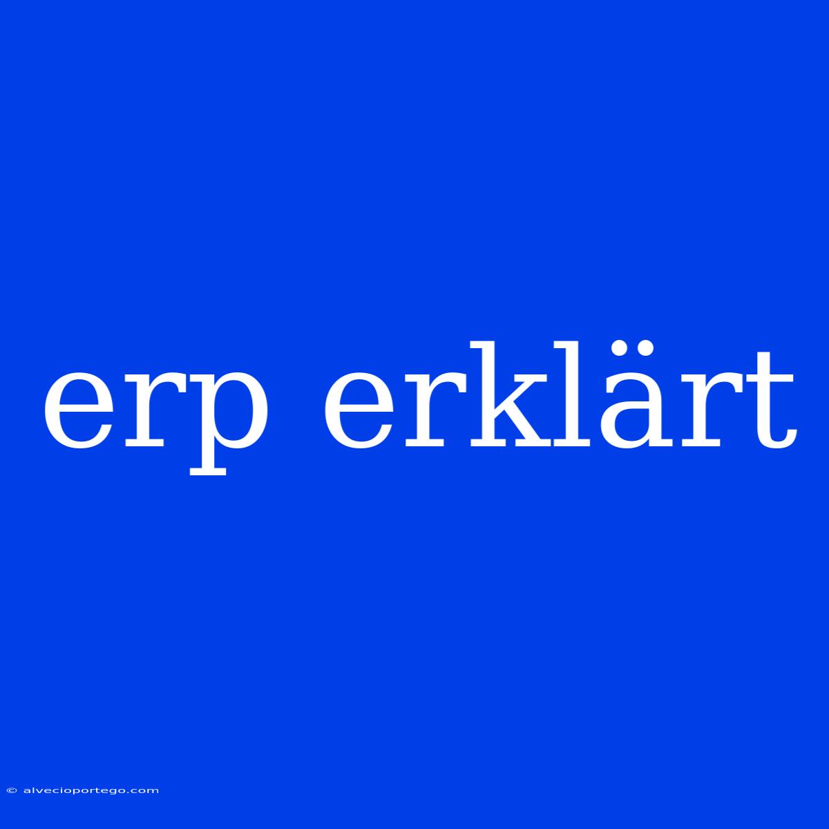 Erp Erklärt