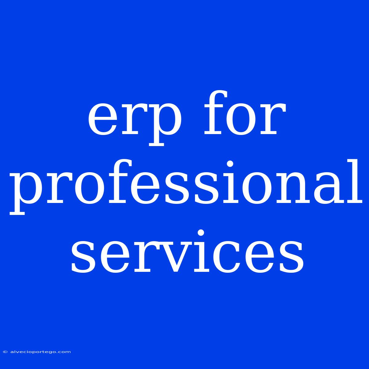 Erp For Professional Services