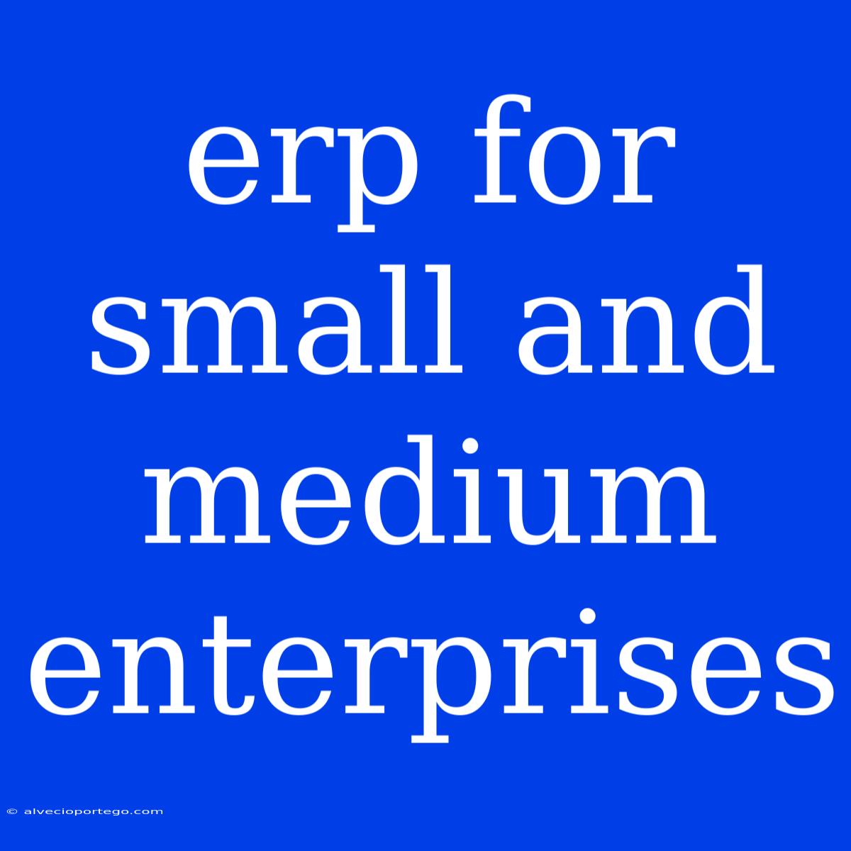 Erp For Small And Medium Enterprises