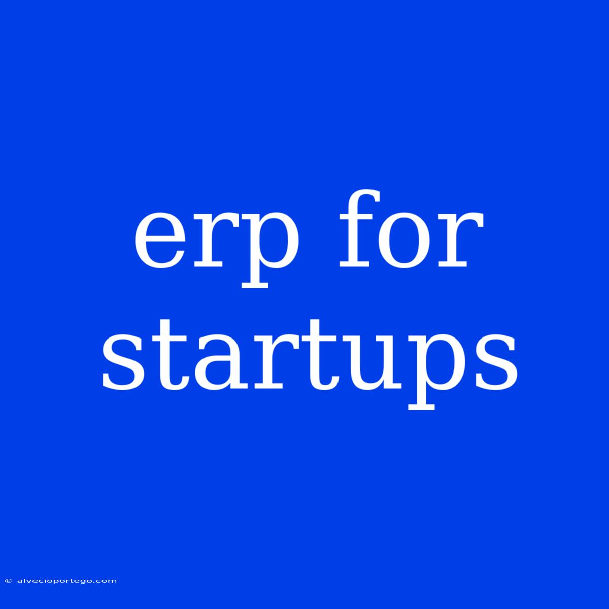 Erp For Startups