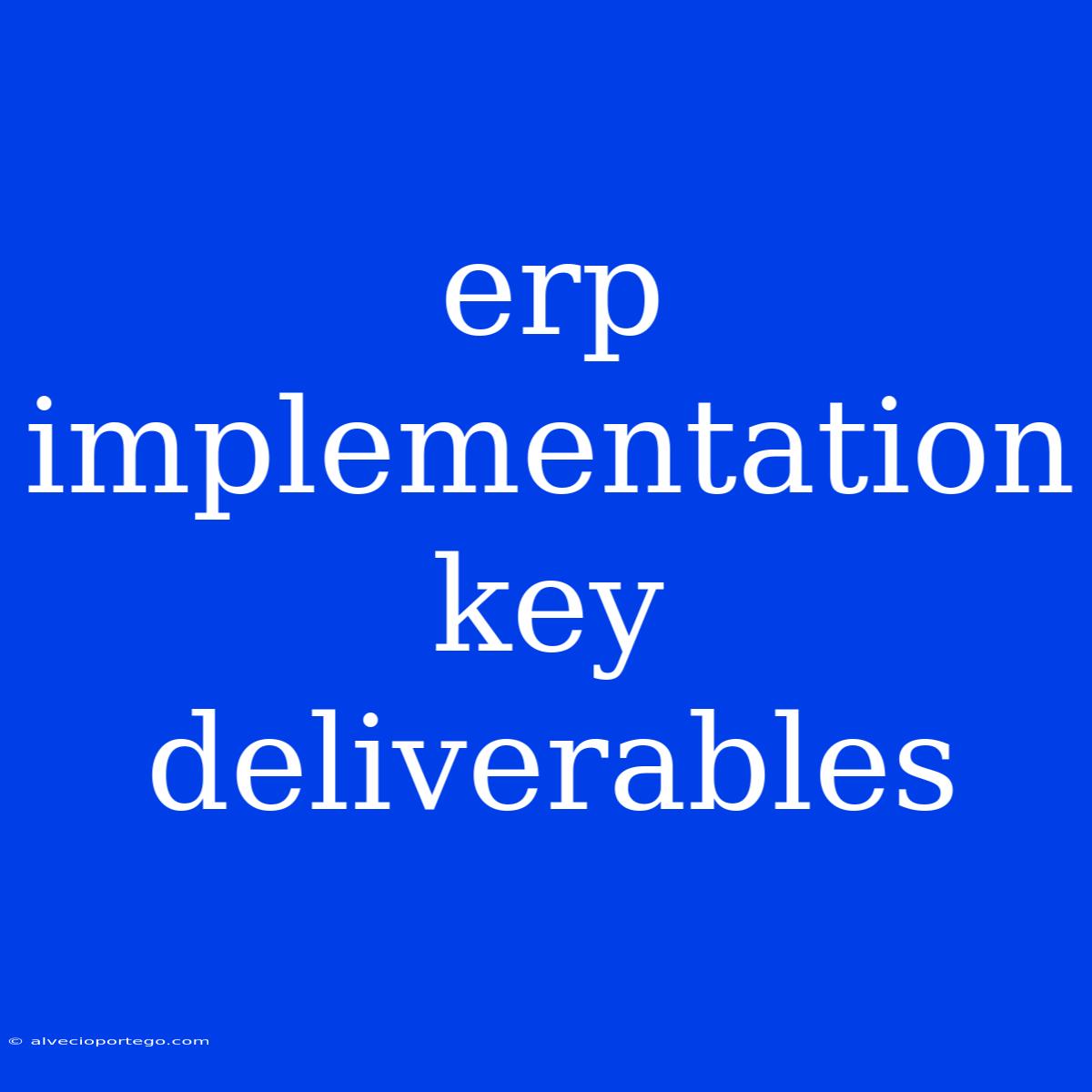 Erp Implementation Key Deliverables