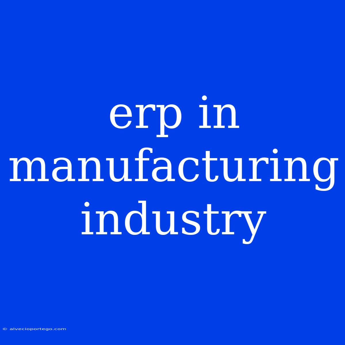 Erp In Manufacturing Industry