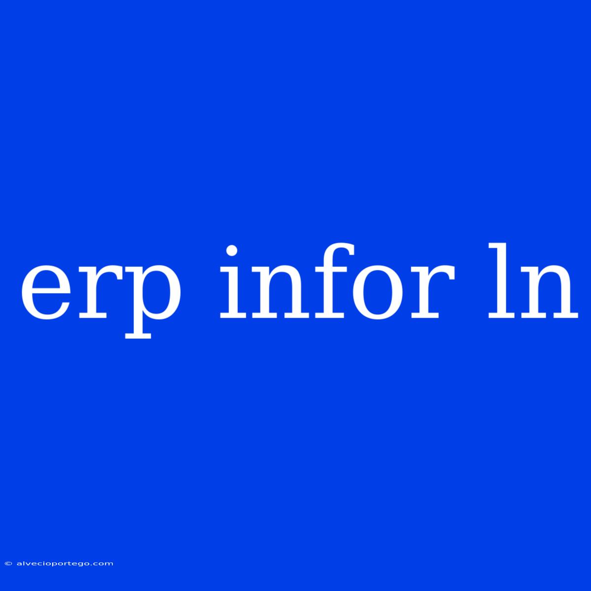 Erp Infor Ln