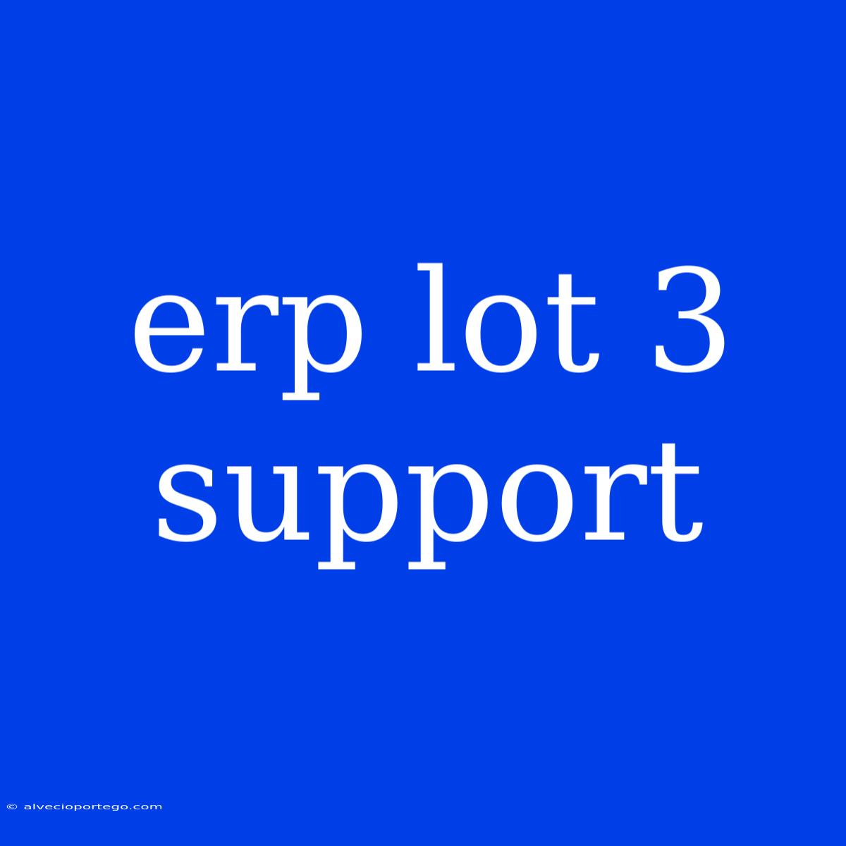 Erp Lot 3 Support