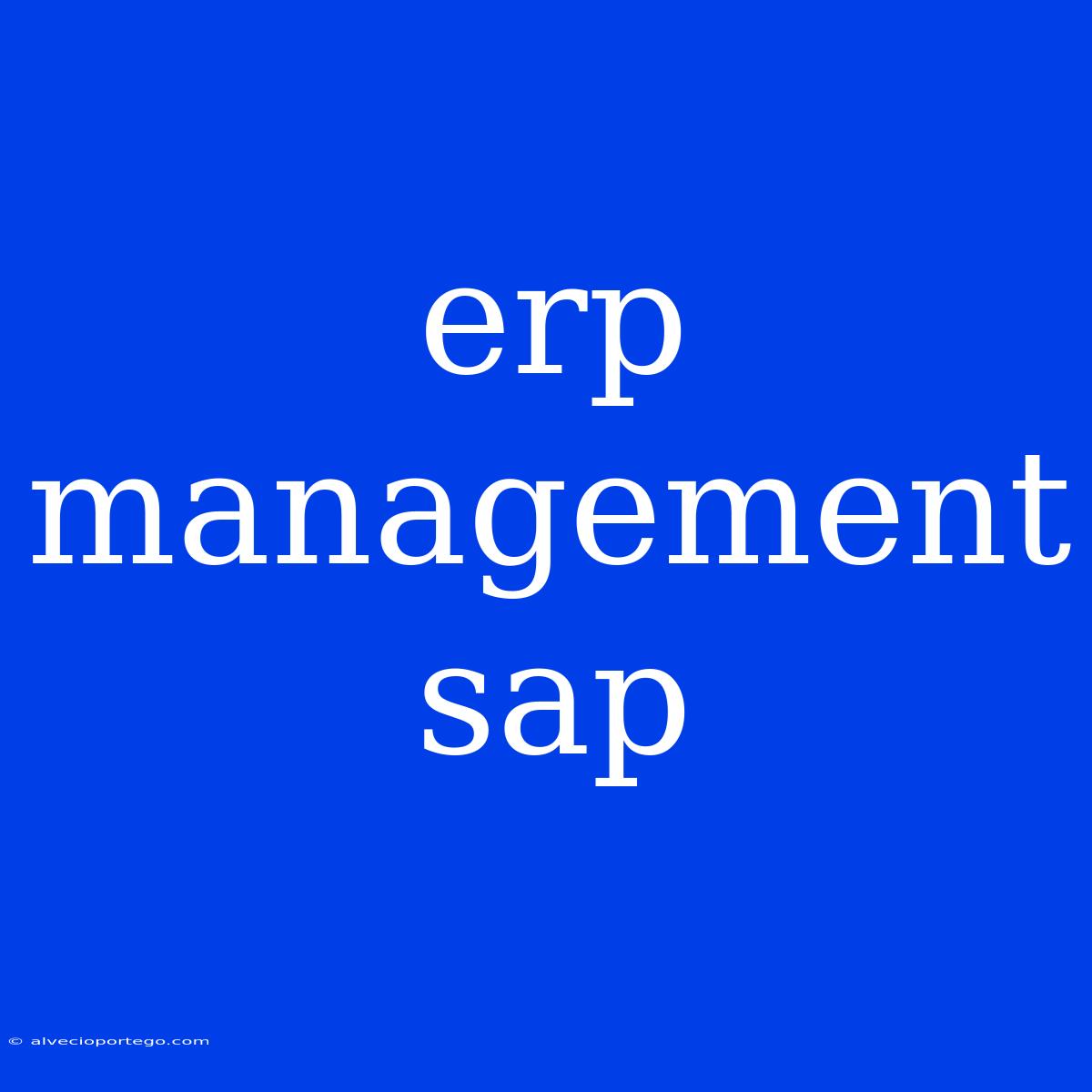 Erp Management Sap