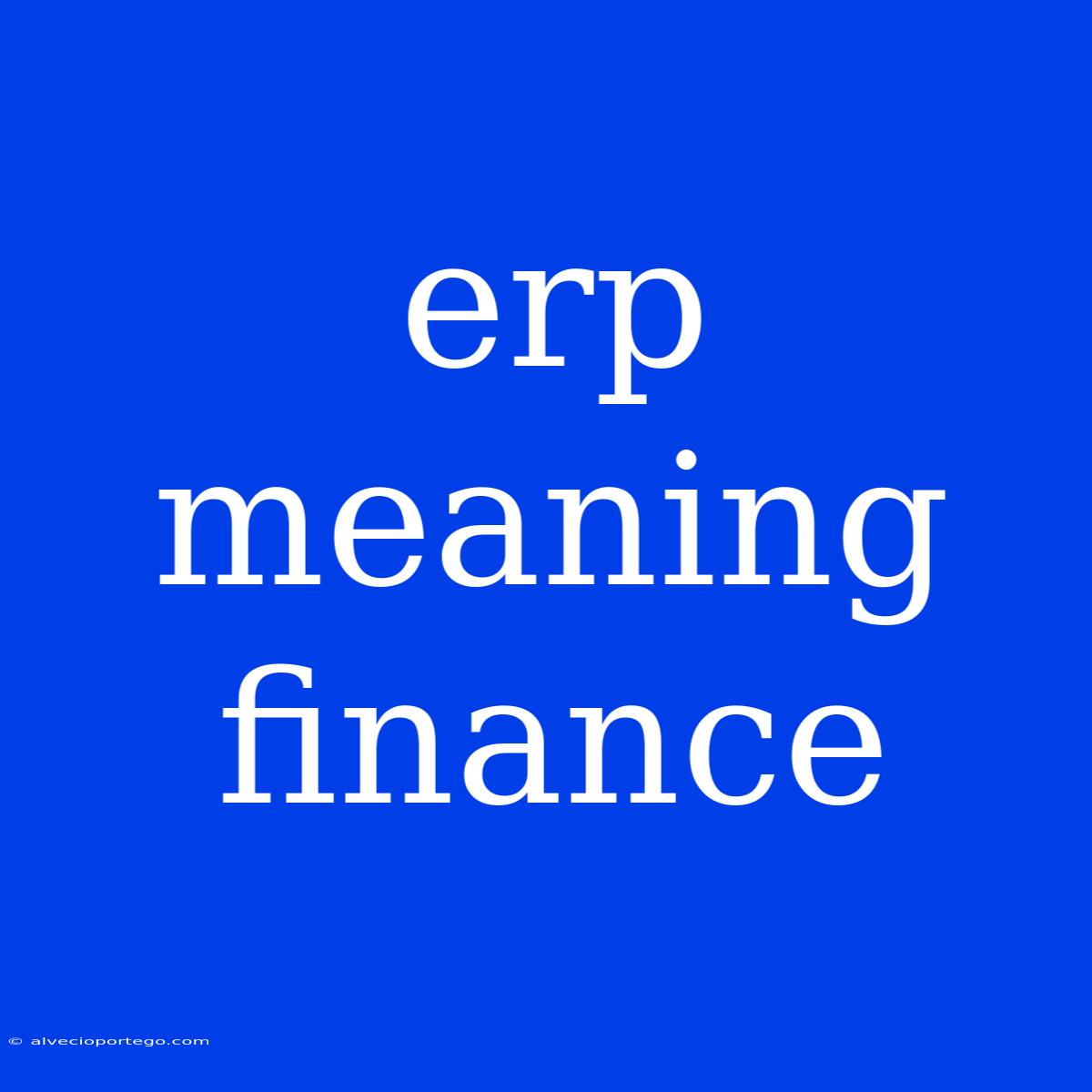 Erp Meaning Finance