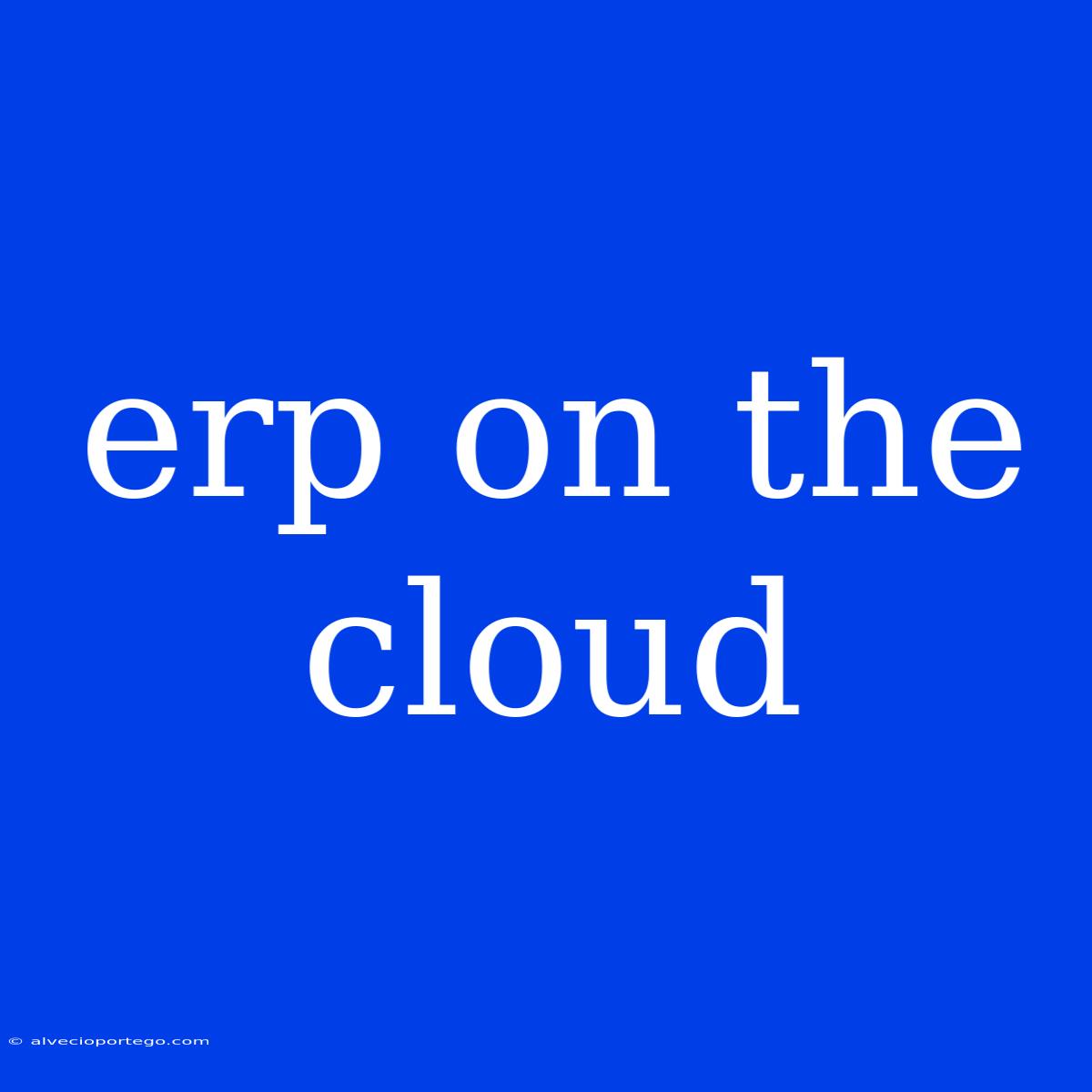 Erp On The Cloud