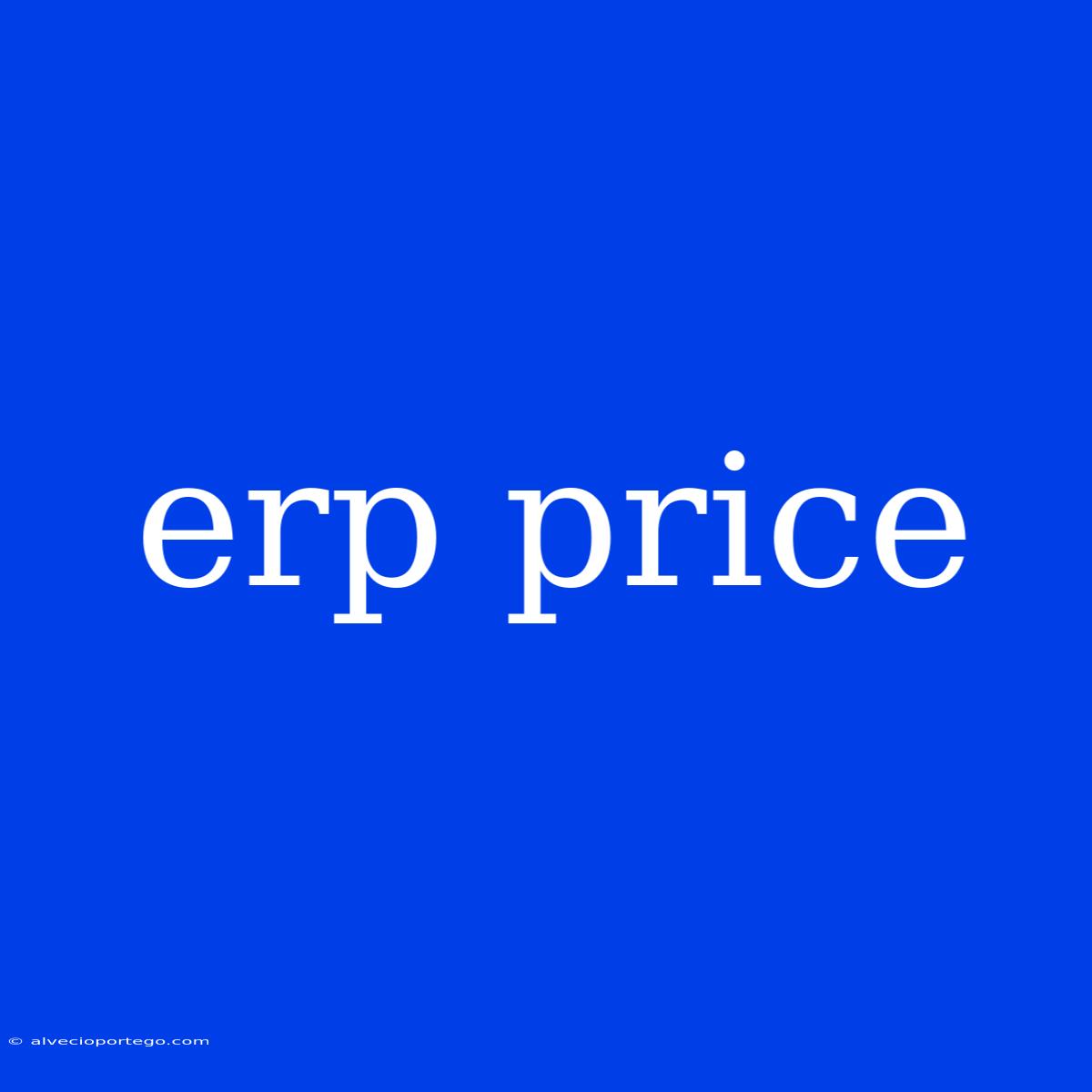 Erp Price