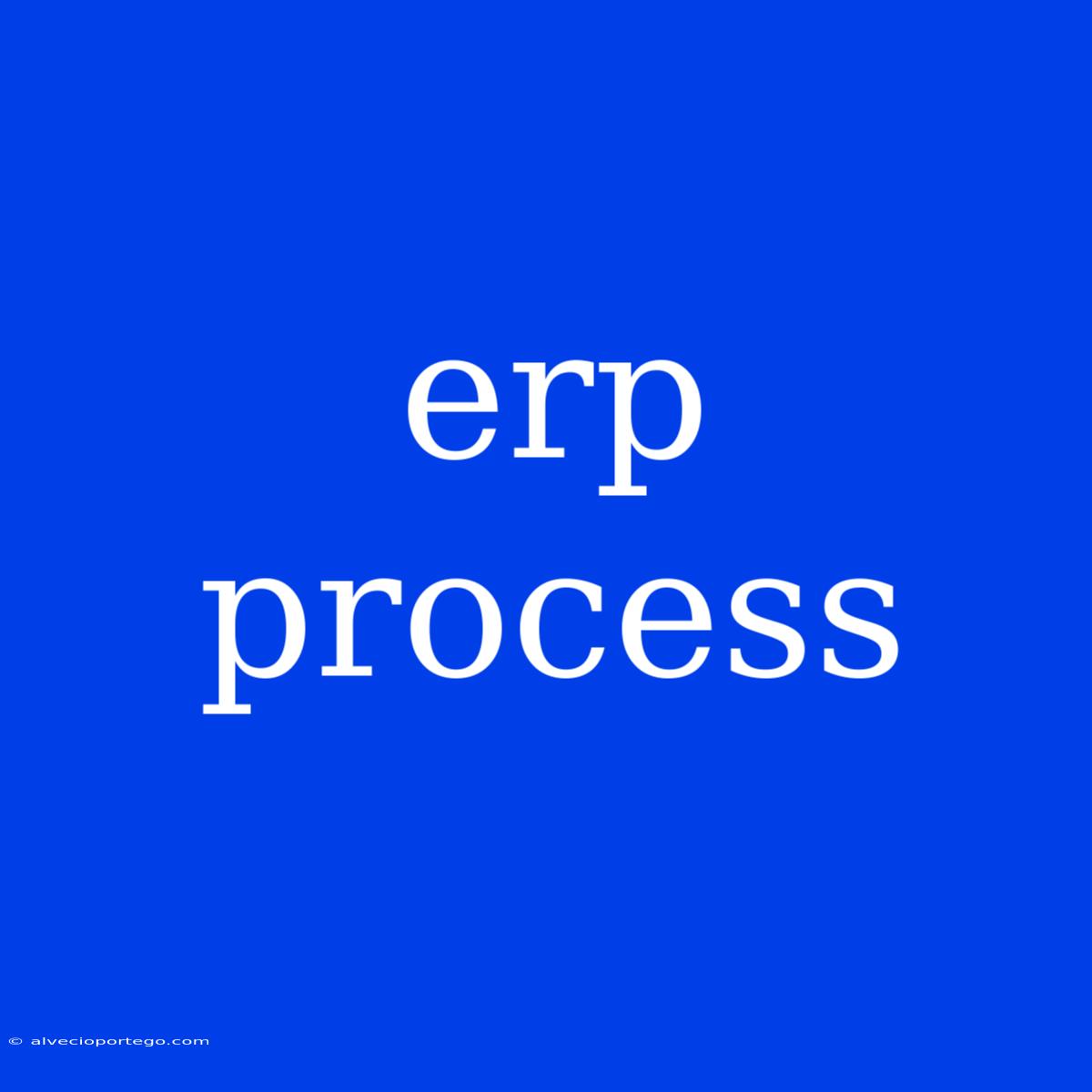 Erp Process