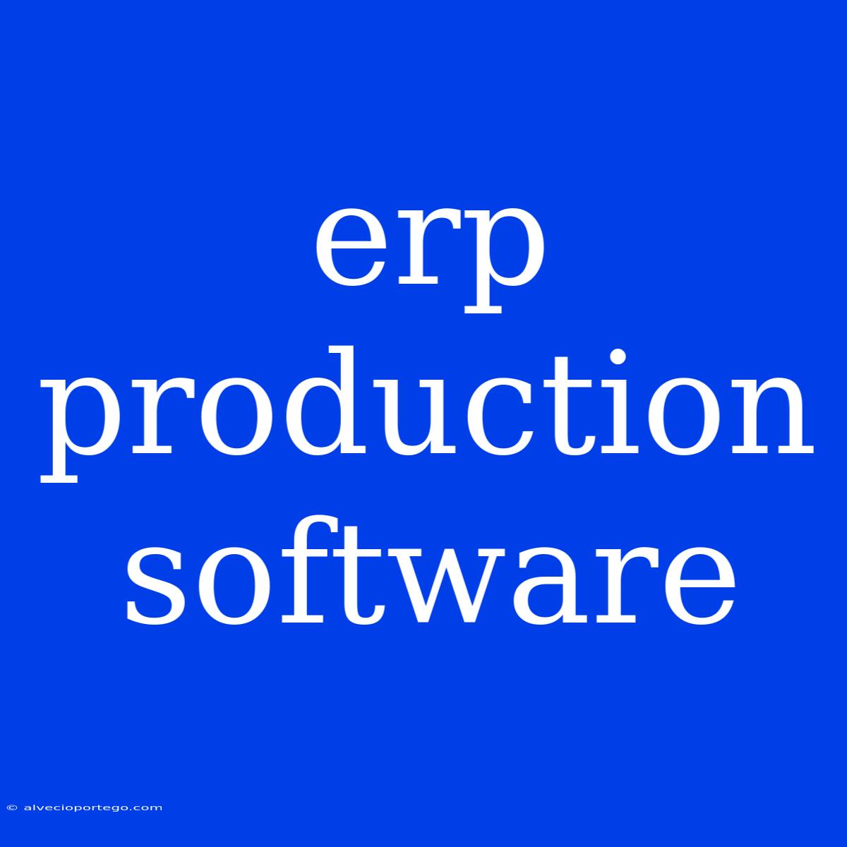 Erp Production Software