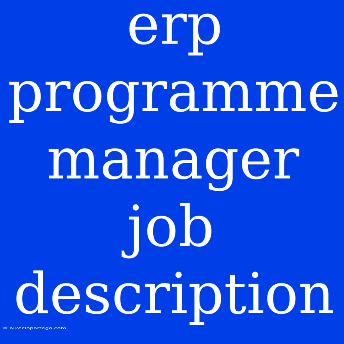 Erp Programme Manager Job Description