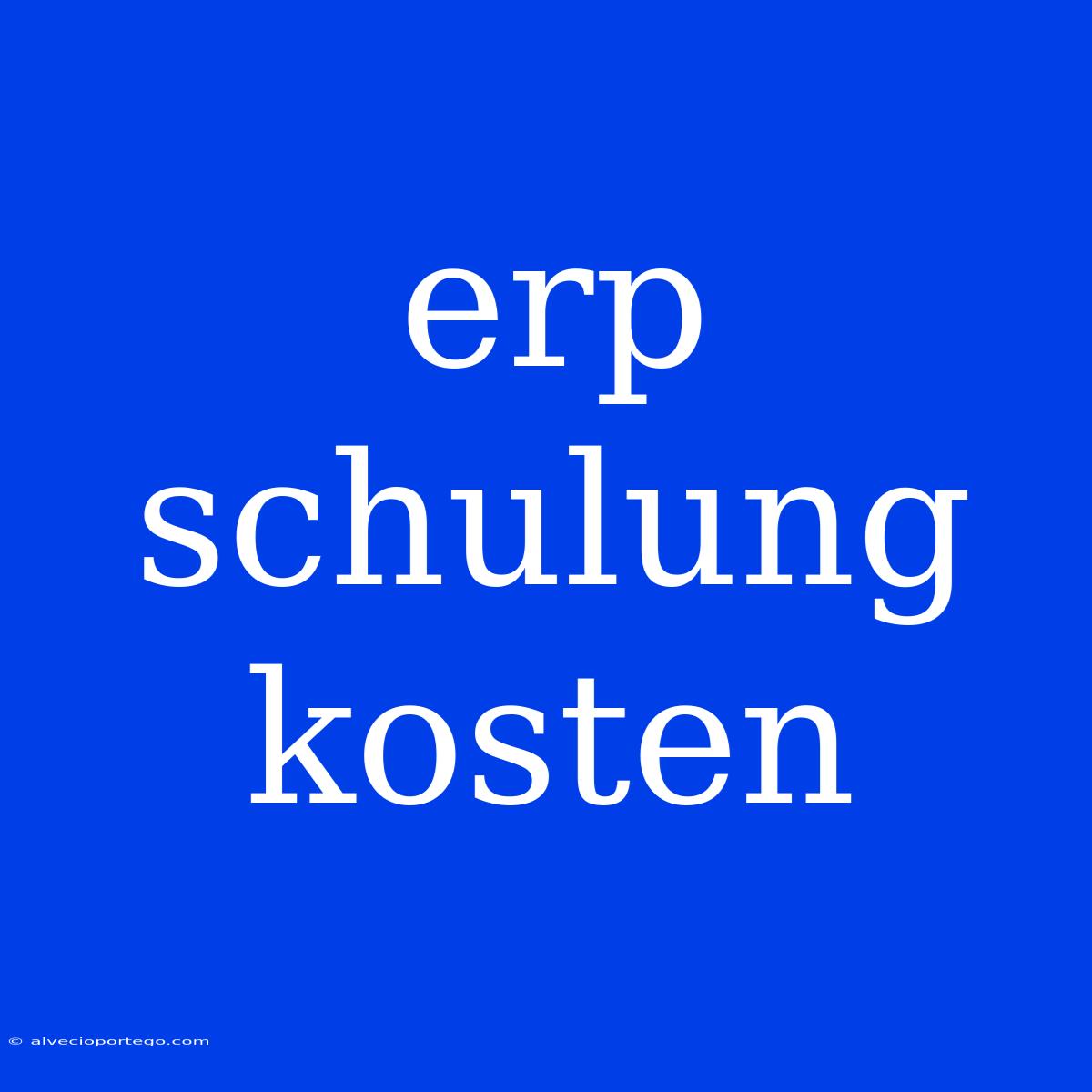 Erp Schulung Kosten