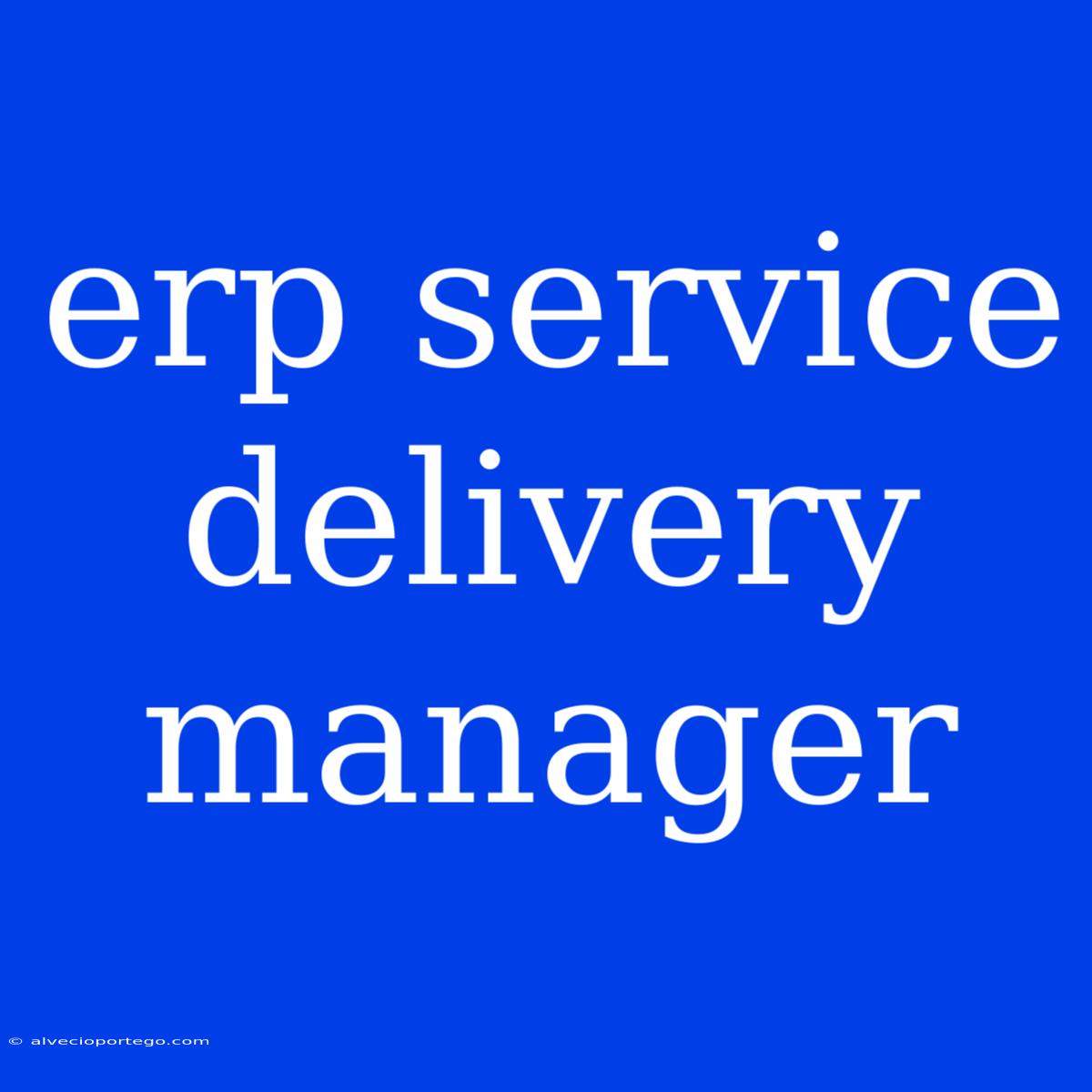 Erp Service Delivery Manager