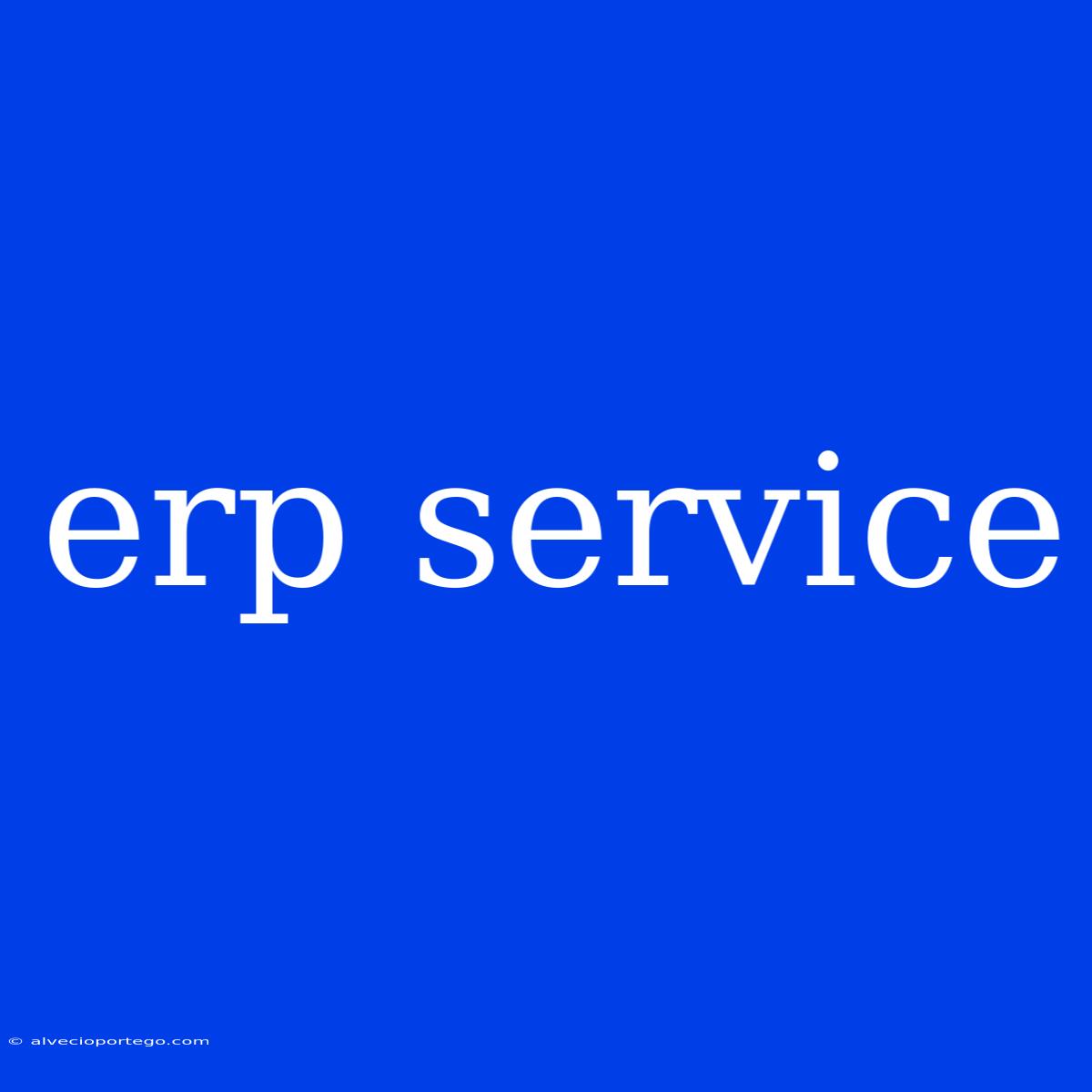 Erp Service