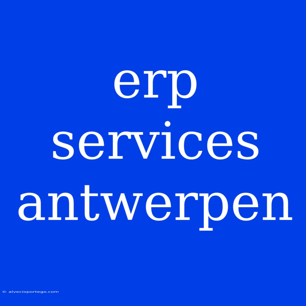 Erp Services Antwerpen