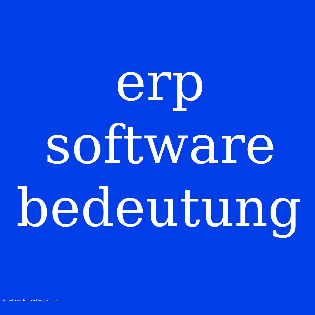 Erp Software Bedeutung