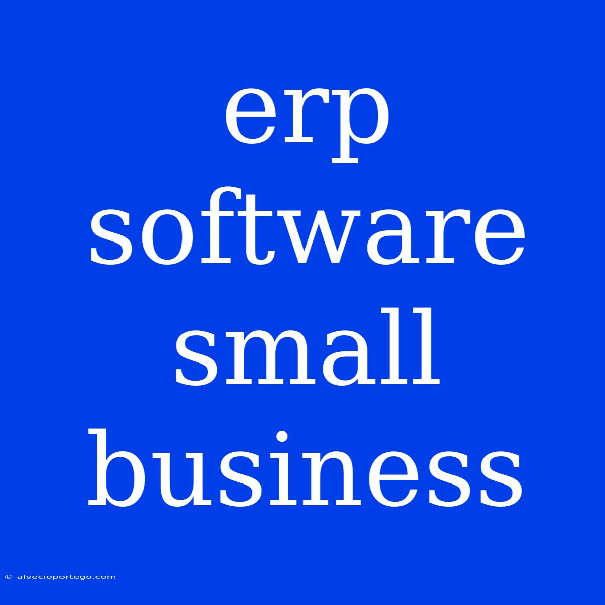 Erp Software Small Business